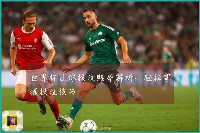 世界杯让球投注赔率解析，轻松掌握投注技巧