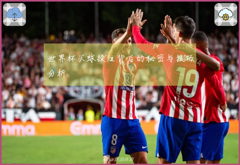 世界杯买球投注背后的秘密与技巧分析