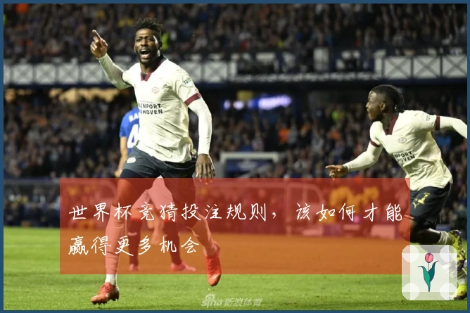 世界杯竞猜投注规则，该如何才能赢得更多机会