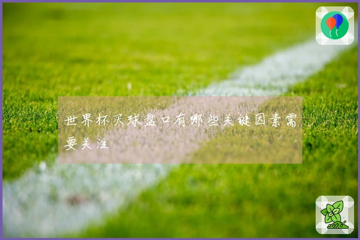 世界杯买球盘口有哪些关键因素需要关注
