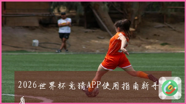2026世界杯竞猜APP使用指南新手必看