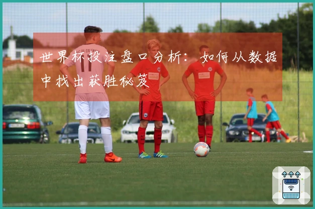 世界杯投注盘口分析：如何从数据中找出获胜秘笈